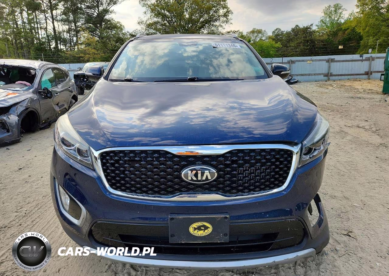 2017 Kia Sorento Ex VIN:5XYPH4A14HG216087 - 5