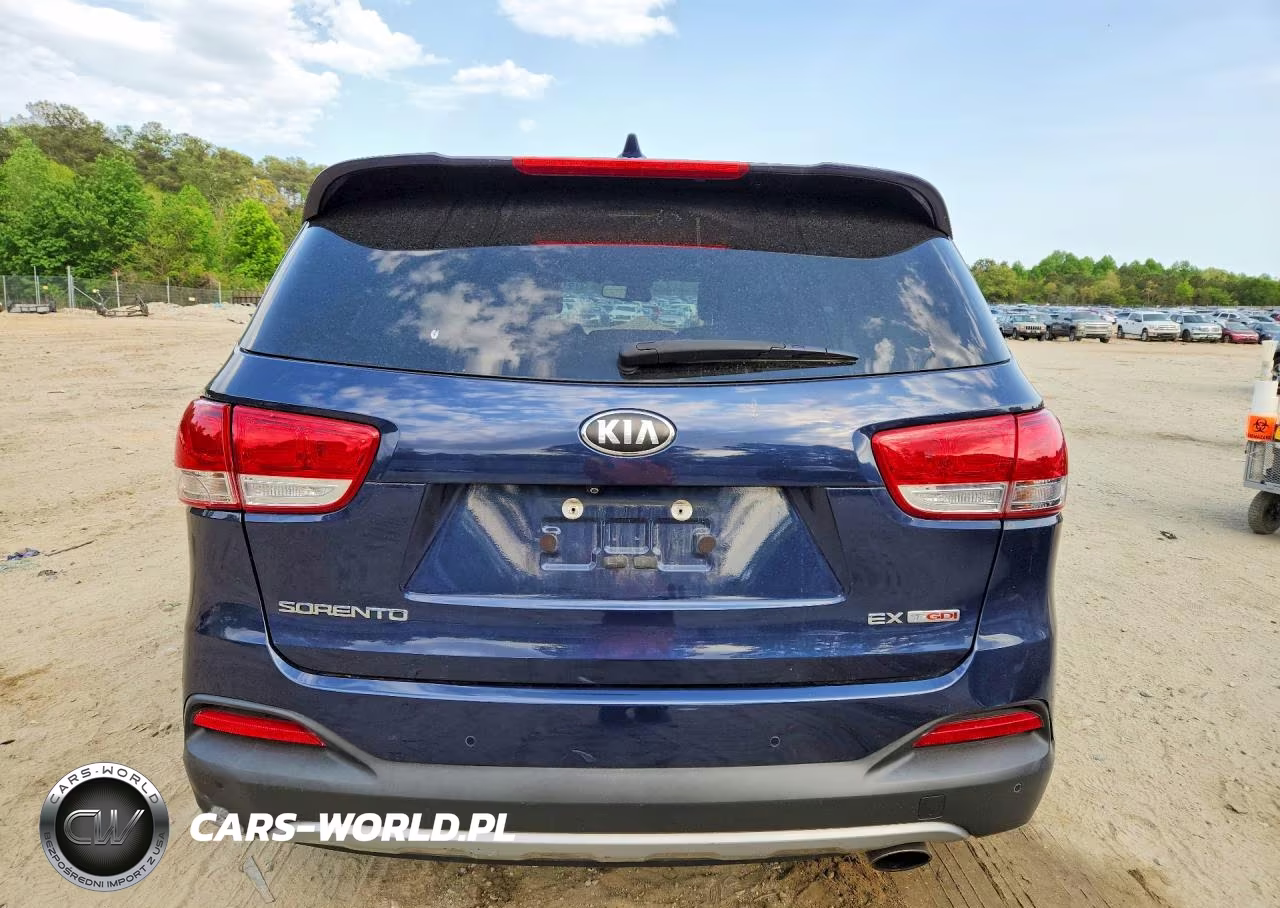 2017 Kia Sorento Ex VIN:5XYPH4A14HG216087 - 6