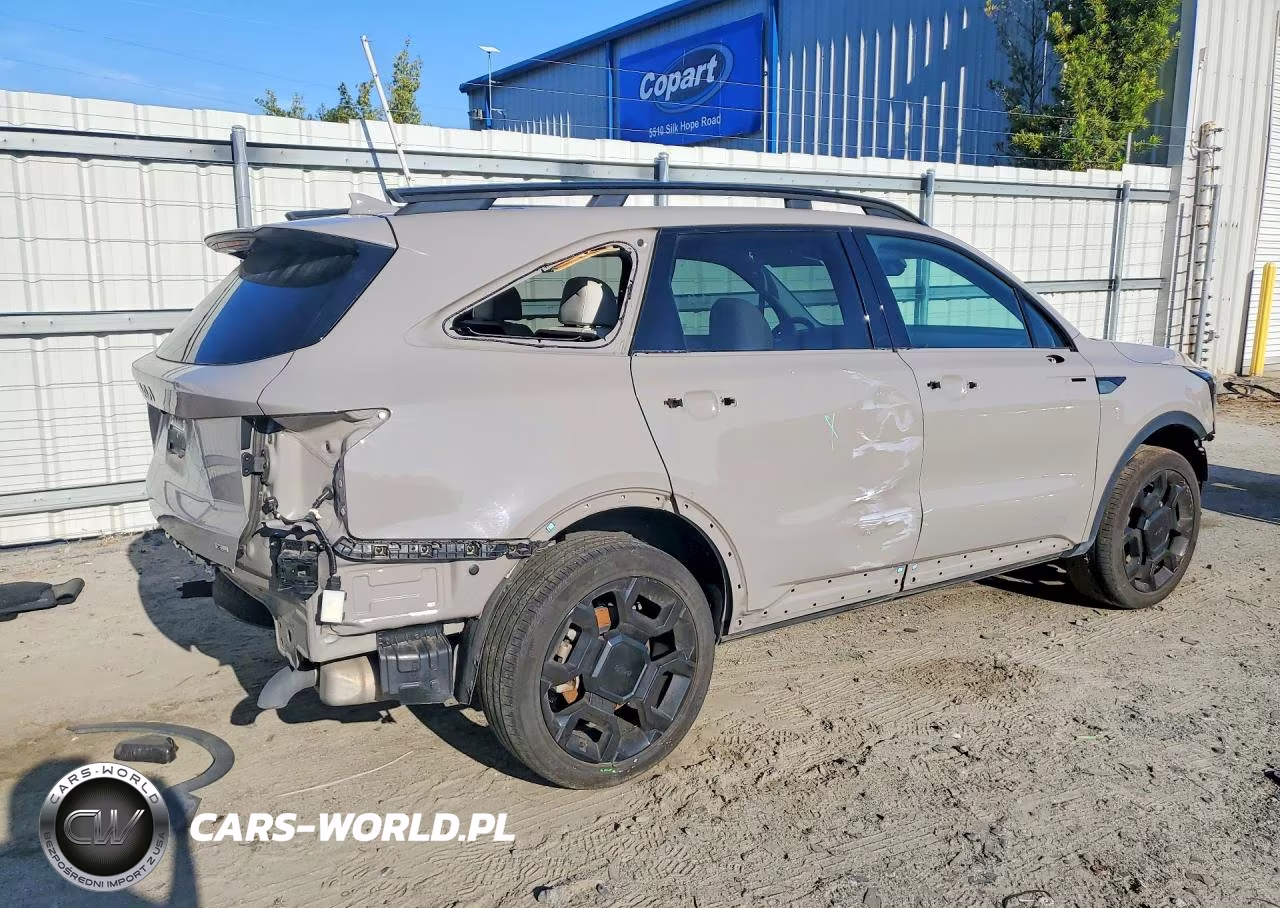 2025 Kia Sorento X-Line Ex VIN:5XYRHDJF6SG313531 - 3