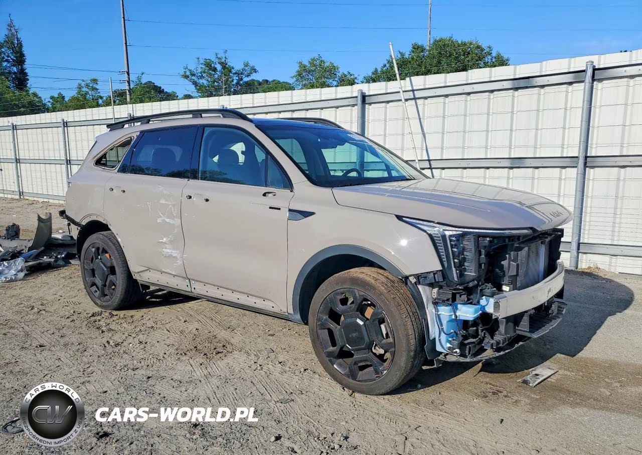 2025 Kia Sorento X-Line Ex VIN:5XYRHDJF6SG313531 - 4