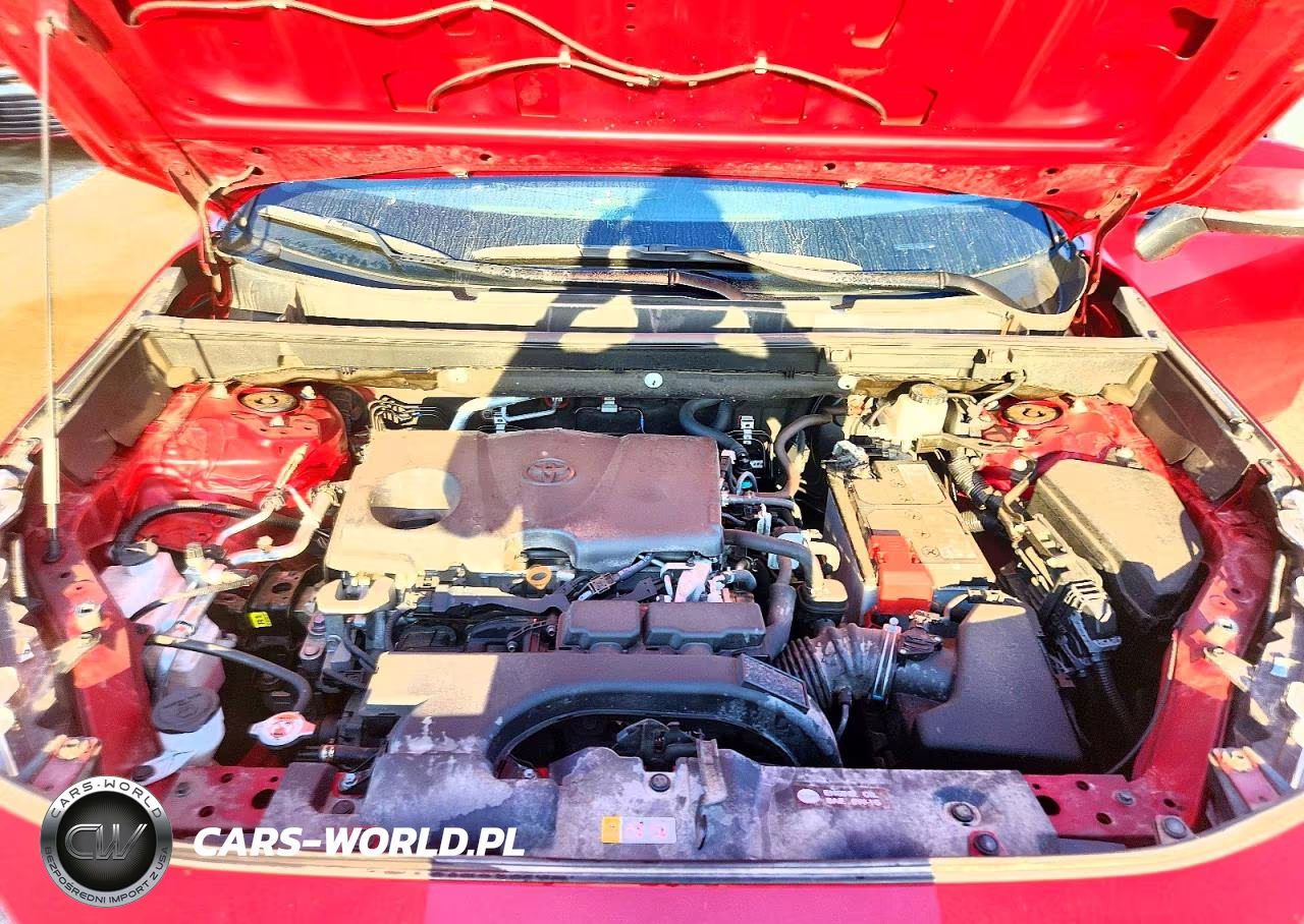 2019 Toyota Rav4 Le VIN:2T3G1RFV8KW062098 - 12
