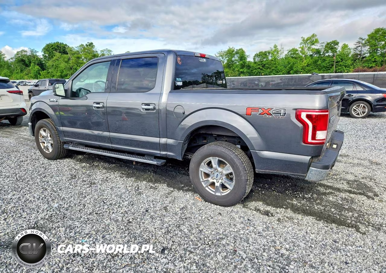 2017 Ford F150 Supercrew VIN:1FTEW1EF9HFA69933 - 2