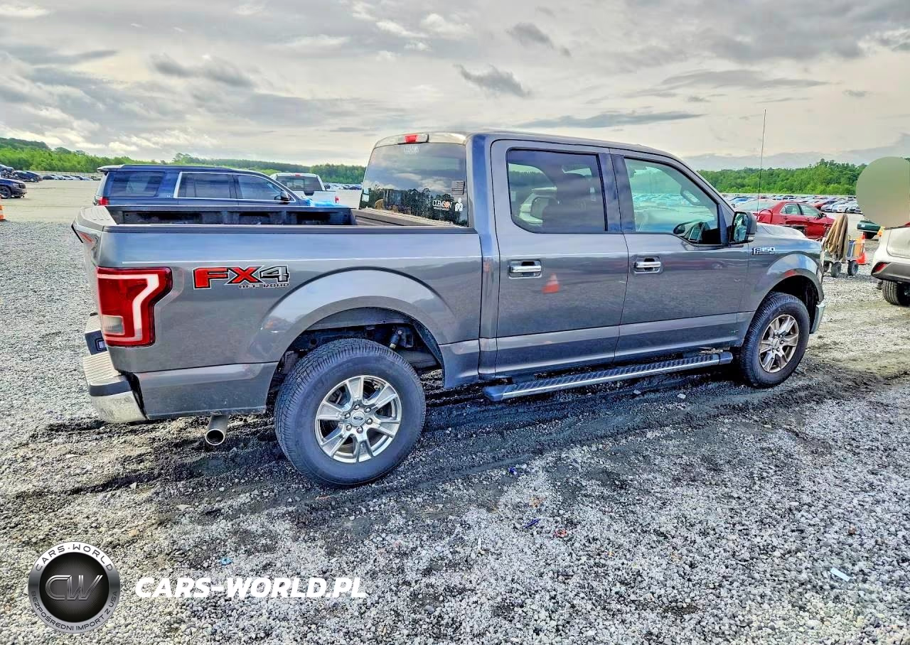2017 Ford F150 Supercrew VIN:1FTEW1EF9HFA69933 - 3