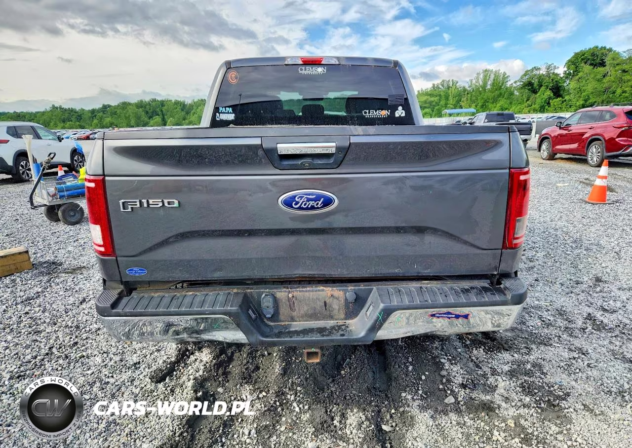 2017 Ford F150 Supercrew VIN:1FTEW1EF9HFA69933 - 6