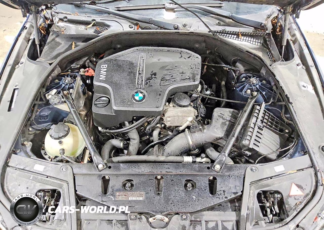 2013 BMW 528 I VIN:WBAXG5C51DD230141 - 11