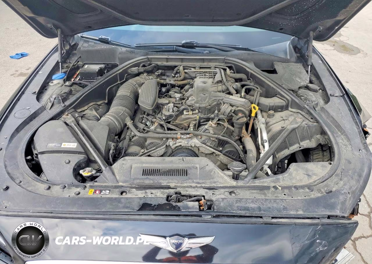 2017 Genesis G80 3.8 VIN:KMHGN4JE6HU205663 - 11