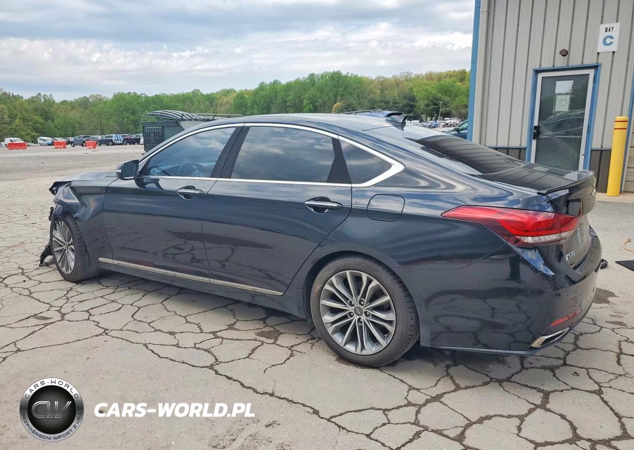 2017 Genesis G80 3.8 VIN:KMHGN4JE6HU205663 - 2