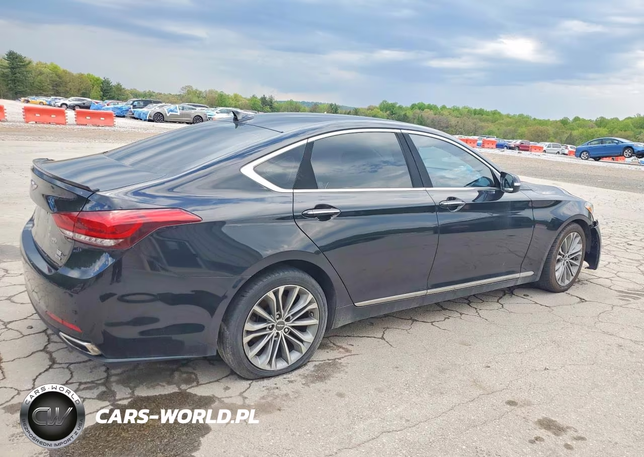 2017 Genesis G80 3.8 VIN:KMHGN4JE6HU205663 - 3