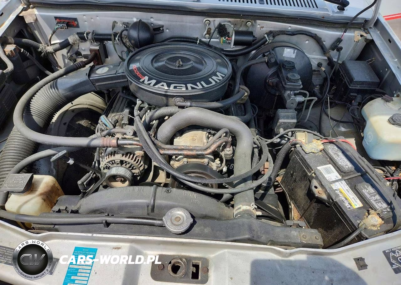 1992 Dodge Dakota VIN:1B7GG26Y2NS662676 - 11