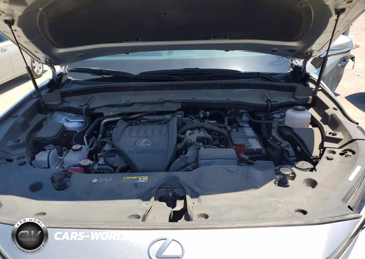2024 Lexus Tx 350 Base VIN:5TDAAAA60RS001301 - 12