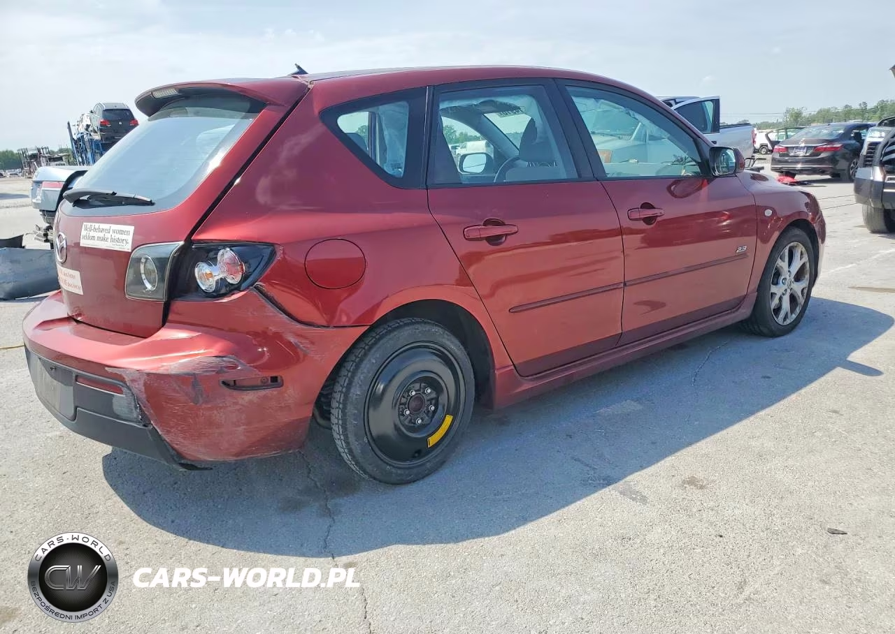 2009 Mazda 3 S VIN:JM1BK343991231494 - 3