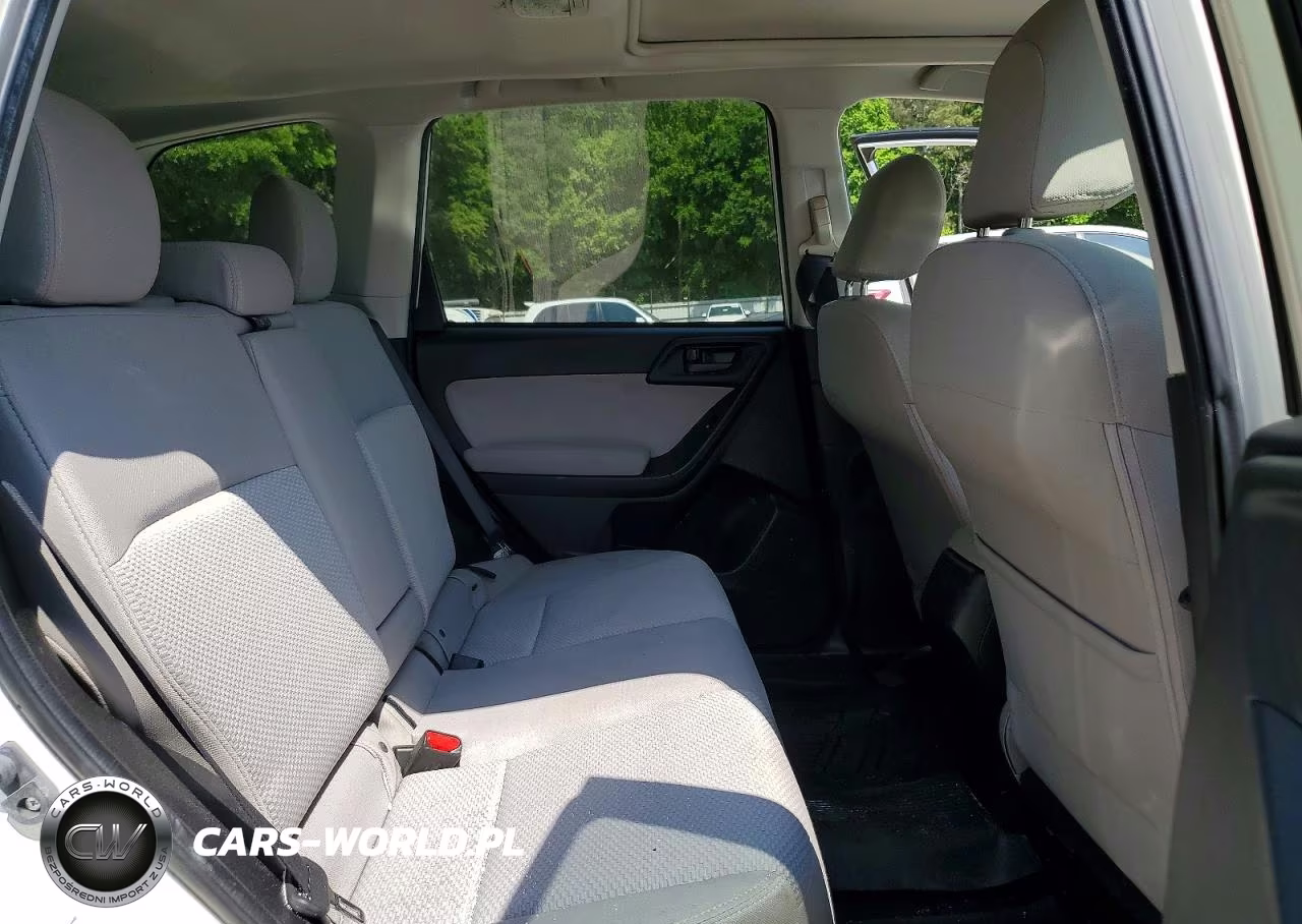 2015 Subaru Forester 2.5I Premium VIN:JF2SJADC0FH561892 - 10