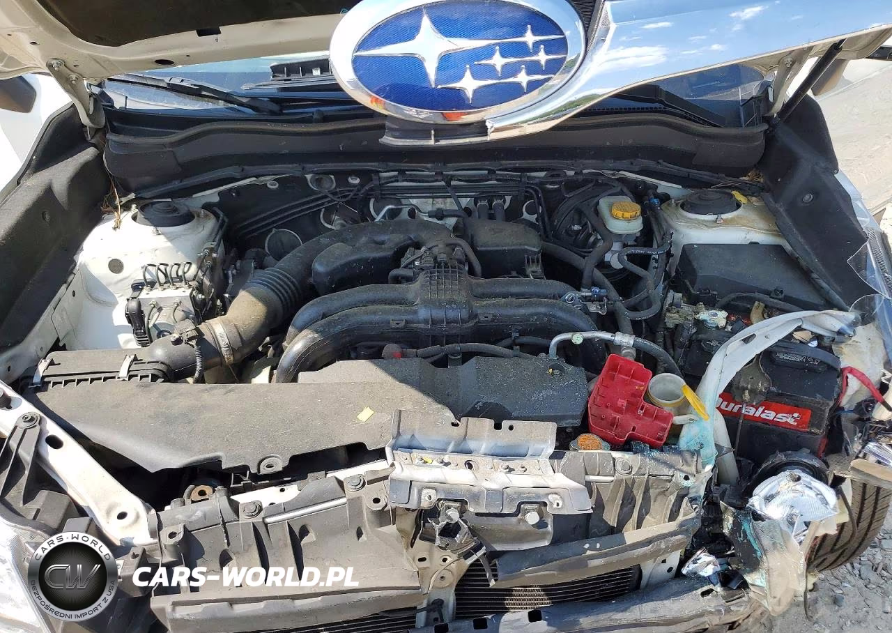 2015 Subaru Forester 2.5I Premium VIN:JF2SJADC0FH561892 - 11