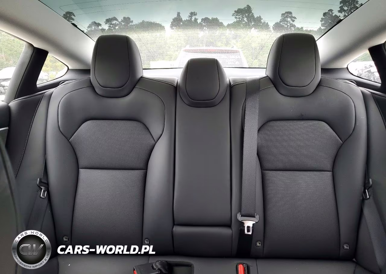 2025 Tesla Model 3 VIN:5YJ3E1EA5SF979153 - 10