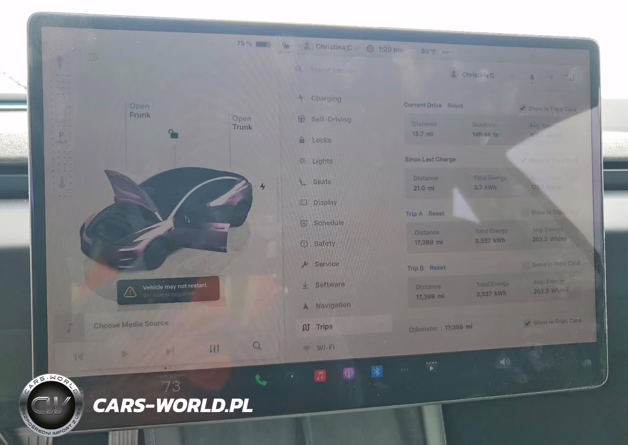 2025 Tesla Model 3 VIN:5YJ3E1EA5SF979153 - 9