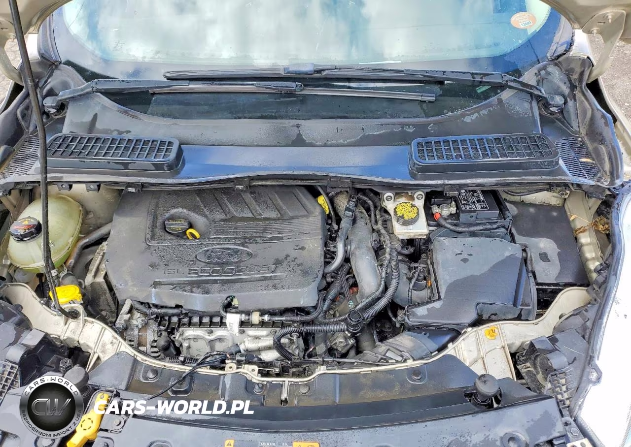 2018 Ford Escape Se VIN:1FMCU0GD8JUB61888 - 12