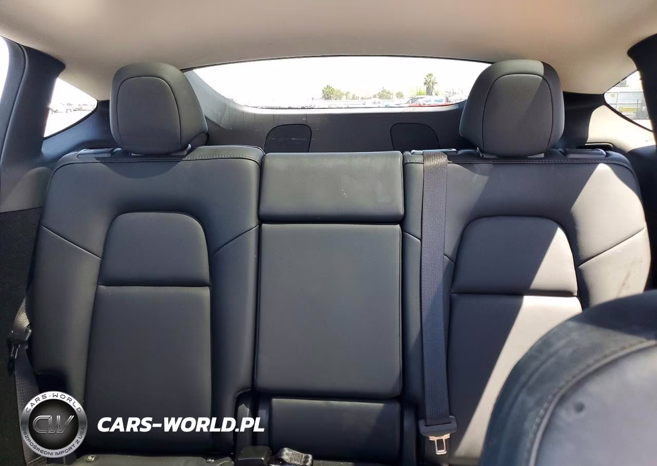 2024 Tesla Model Y VIN:7SAYGDEE6RF041566 - 10