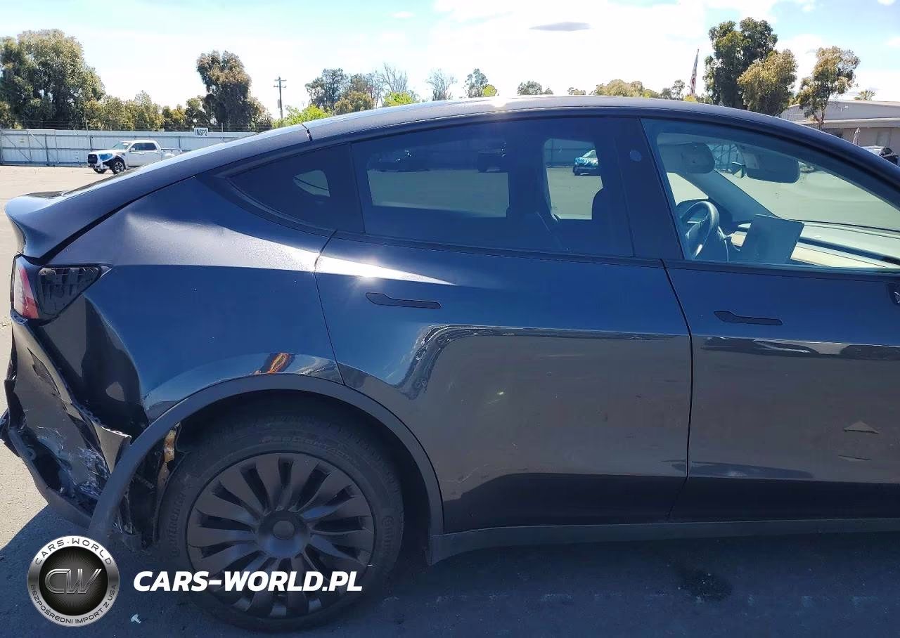 2024 Tesla Model Y VIN:7SAYGDEE6RF041566 - 11