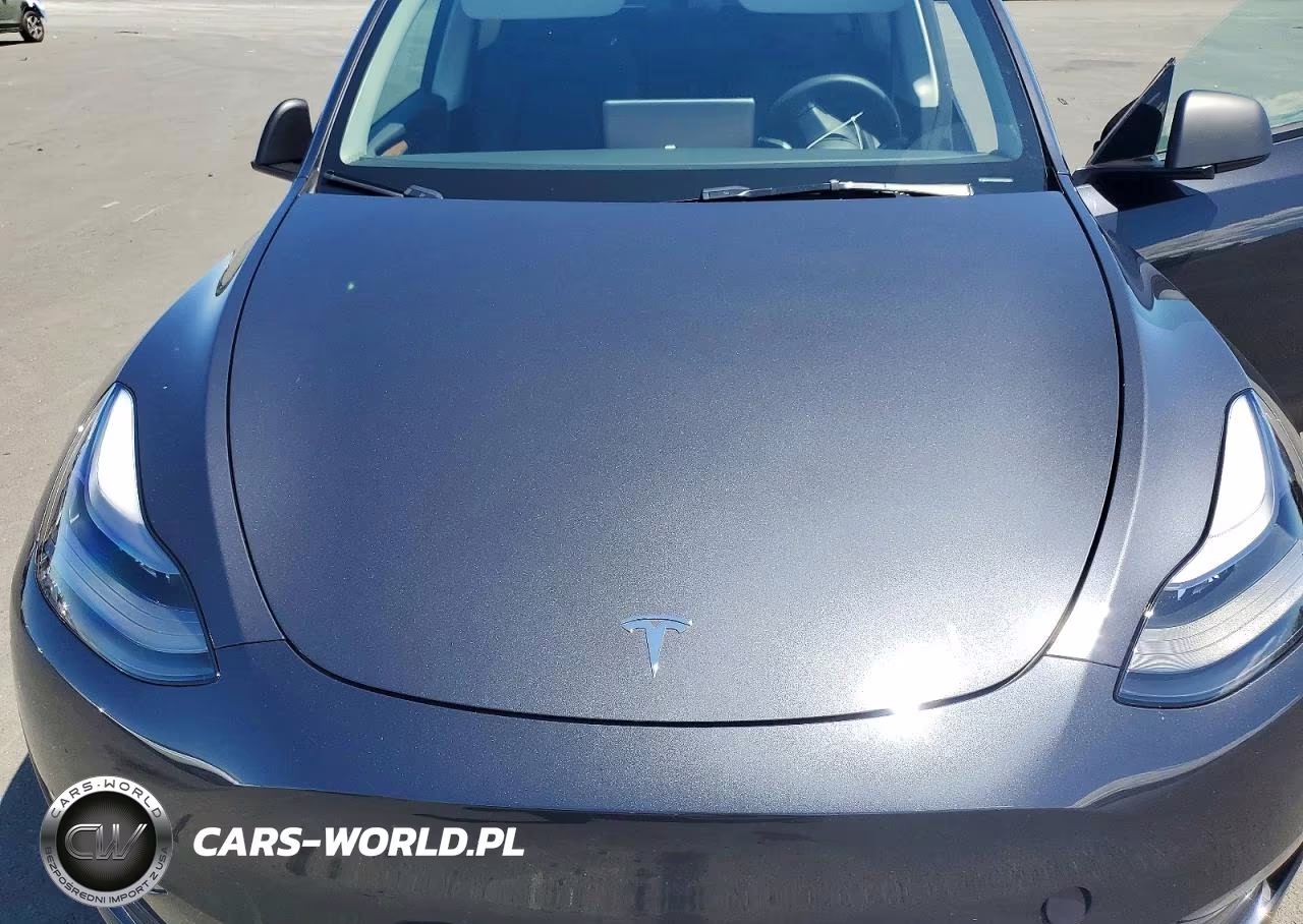 2024 Tesla Model Y VIN:7SAYGDEE6RF041566 - 12