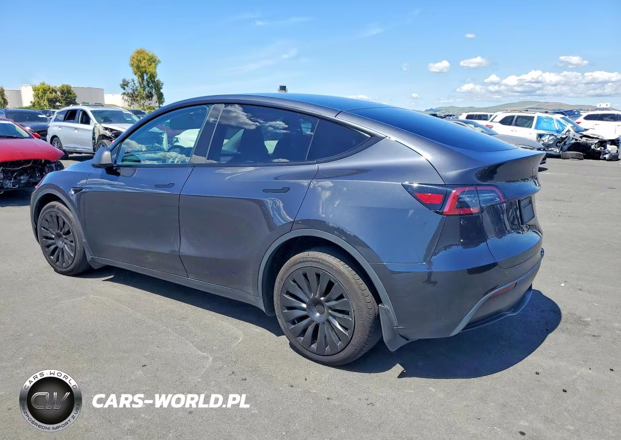 2024 Tesla Model Y VIN:7SAYGDEE6RF041566 - 2