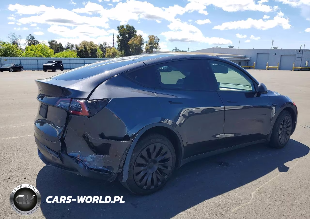 2024 Tesla Model Y VIN:7SAYGDEE6RF041566 - 3