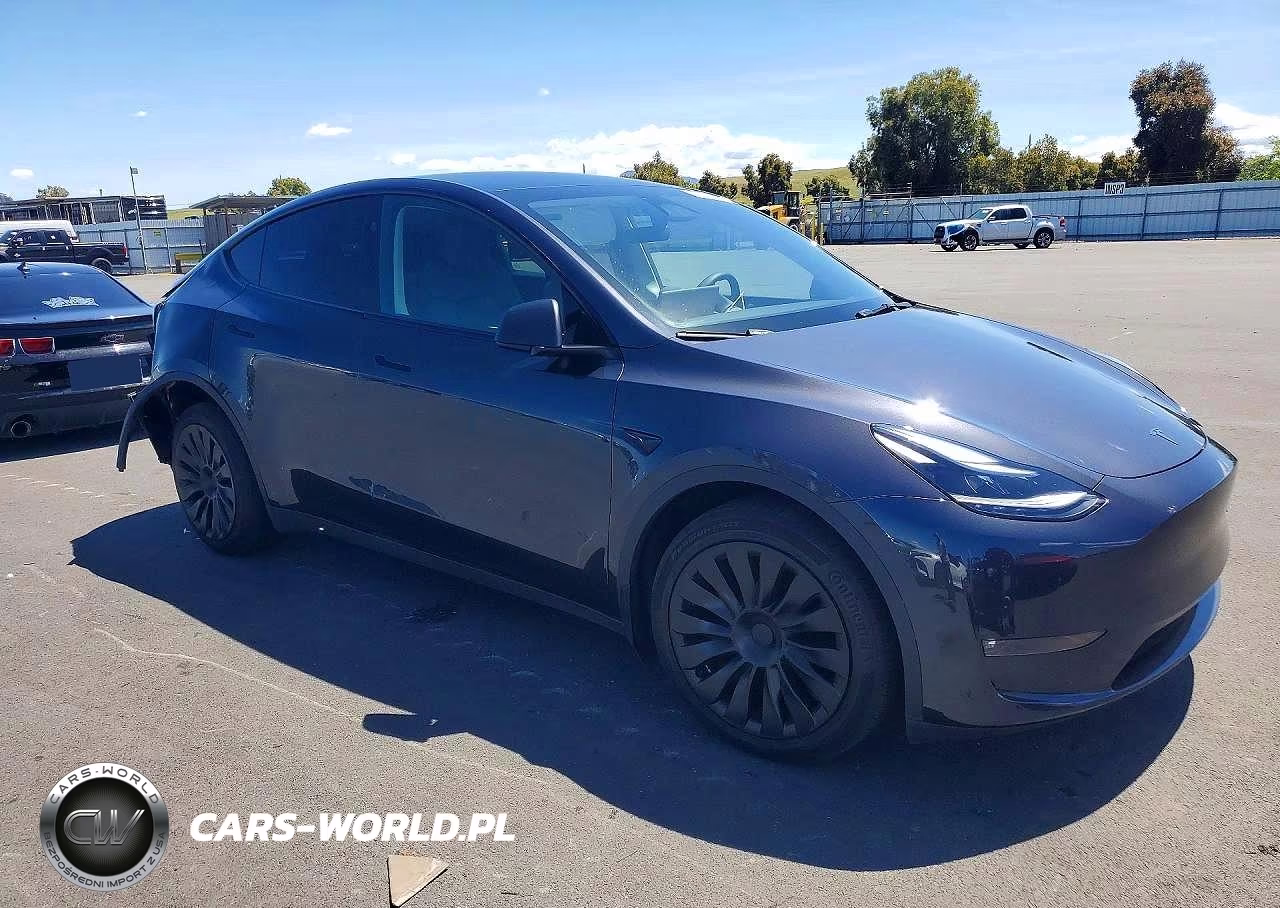 2024 Tesla Model Y VIN:7SAYGDEE6RF041566 - 4