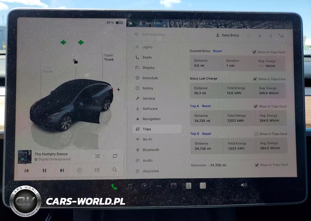 2024 Tesla Model Y VIN:7SAYGDEE6RF041566 - 9
