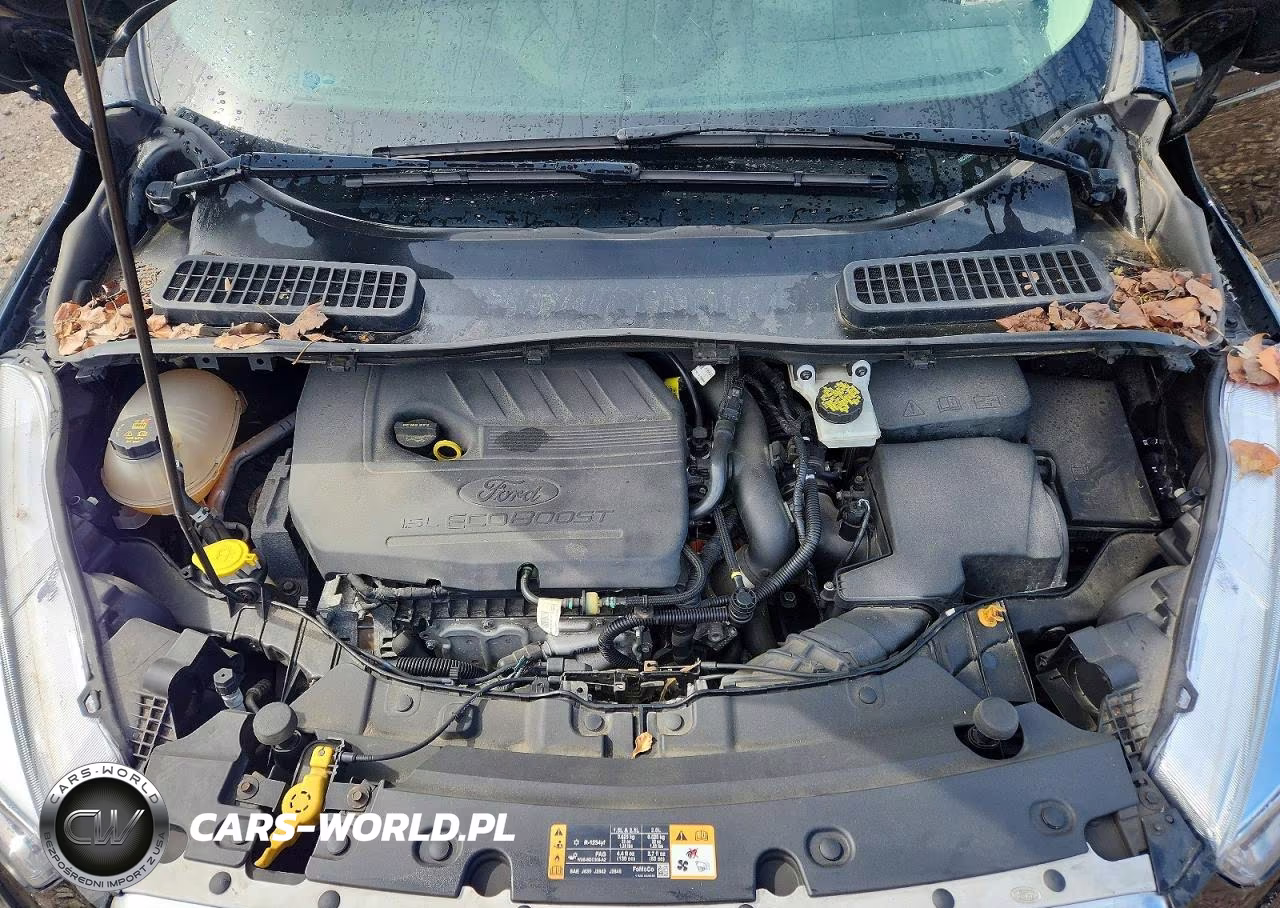 2018 Ford Escape Se VIN:1FMCU0GD3JUD15651 - 12