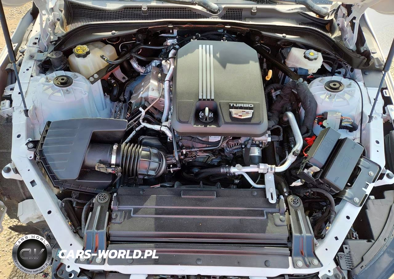 2020 Cadillac Ct4 Sport VIN:1G6DC5RK8L0140119 - 11