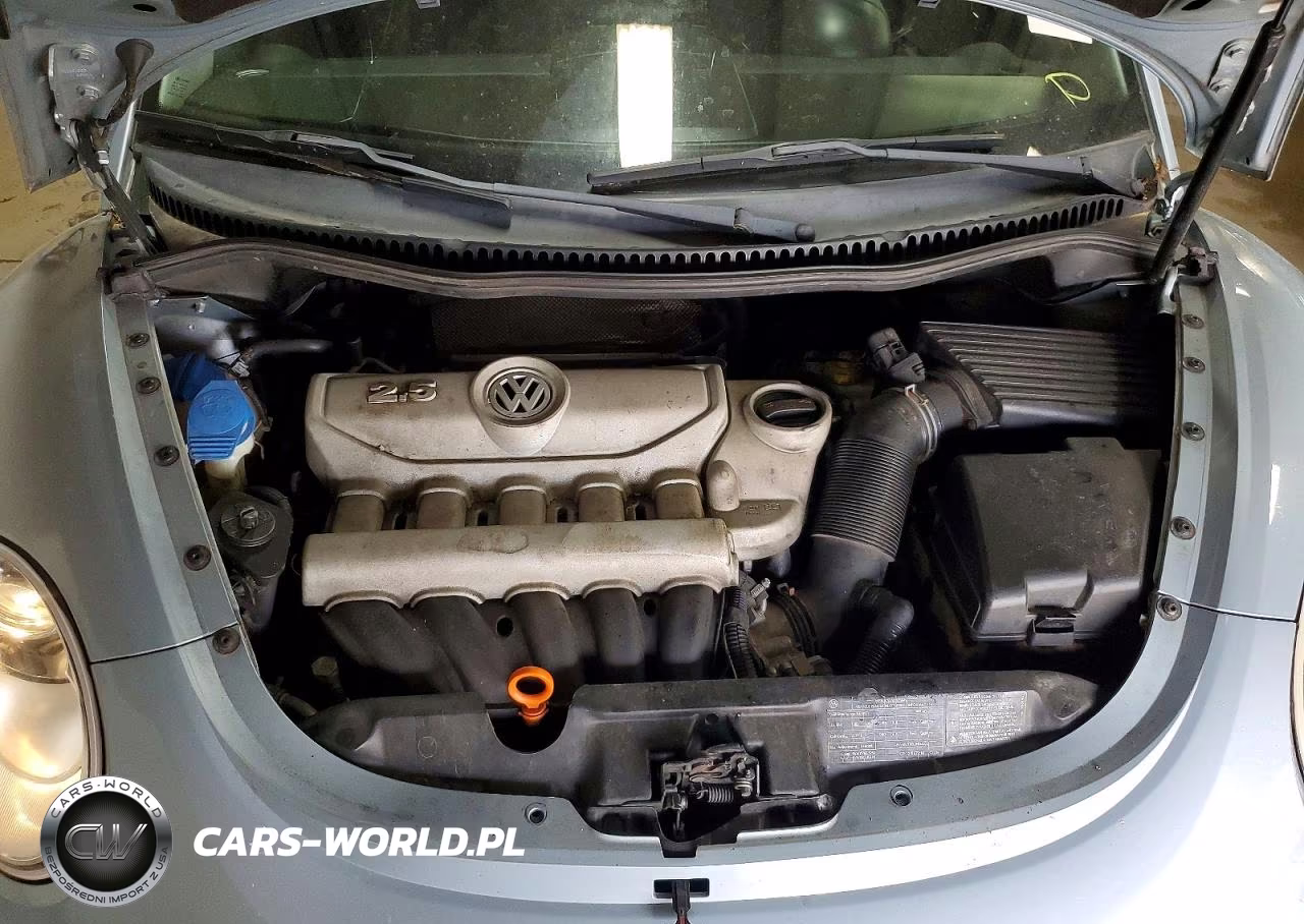 2009 Volkswagen New Beetle S VIN:3VWRW31C79M504343 - 11