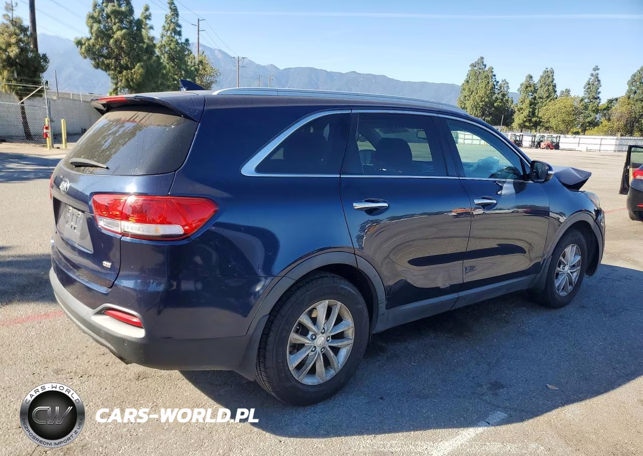 2016 Kia Sorento Lx VIN:5XYPG4A35GG064923 - 3