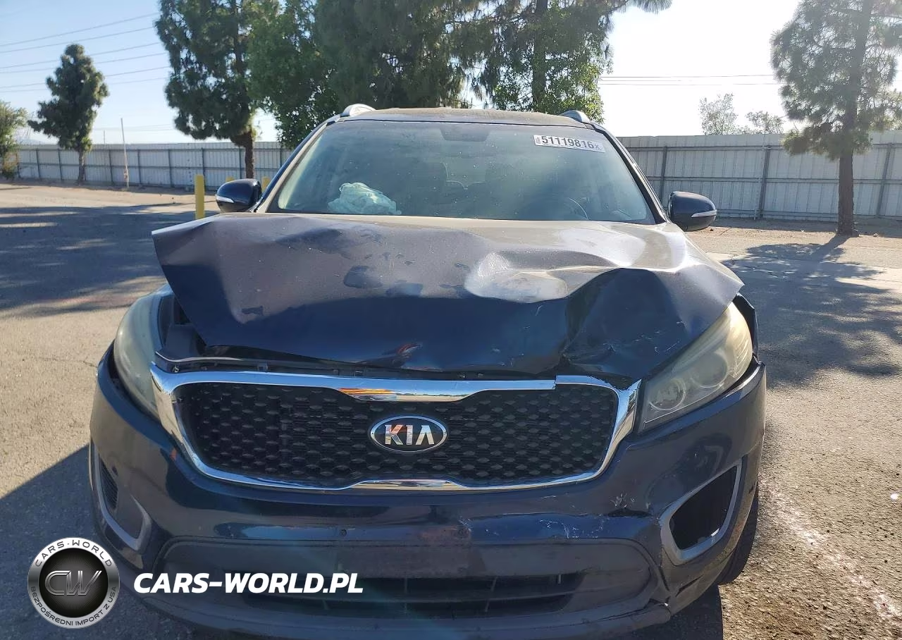 2016 Kia Sorento Lx VIN:5XYPG4A35GG064923 - 5