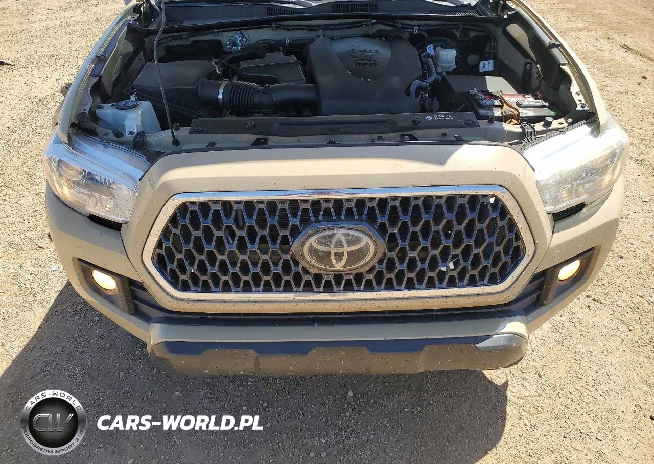2019 Toyota Tacoma Trd Sport VIN:3TMDZ5BN1KM068255 - 11