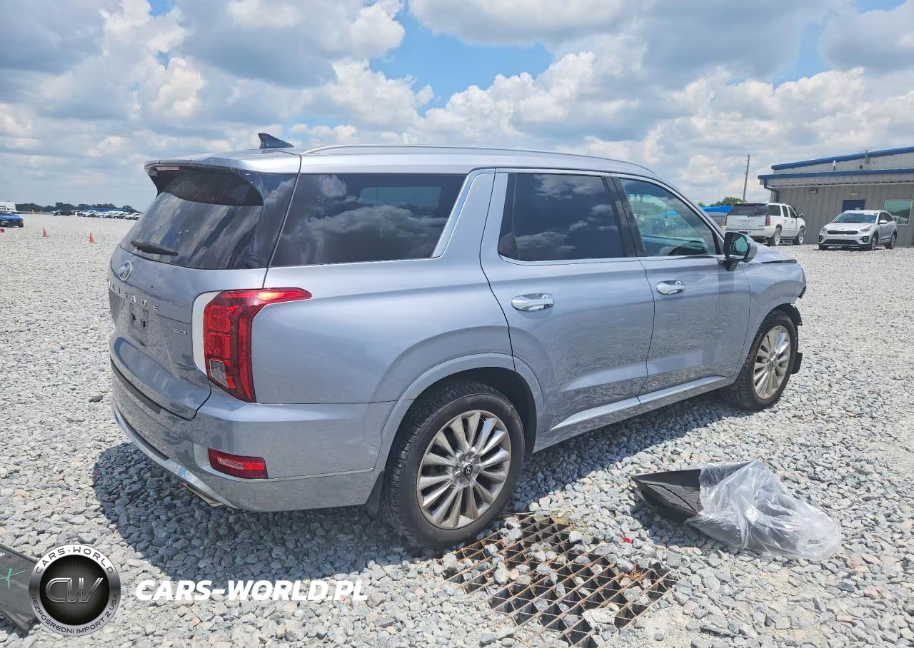 2020 Hyundai Palisade Limited VIN:KM8R5DHE8LU116779 - 3