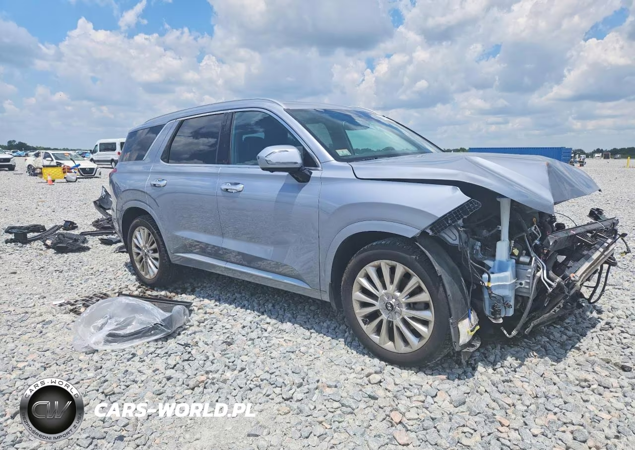 2020 Hyundai Palisade Limited VIN:KM8R5DHE8LU116779 - 4
