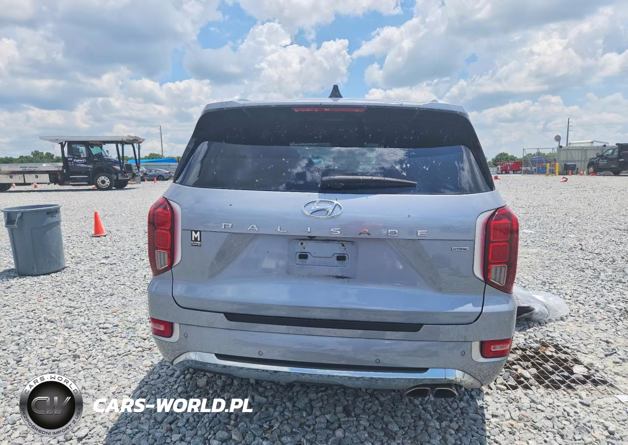 2020 Hyundai Palisade Limited VIN:KM8R5DHE8LU116779 - 6