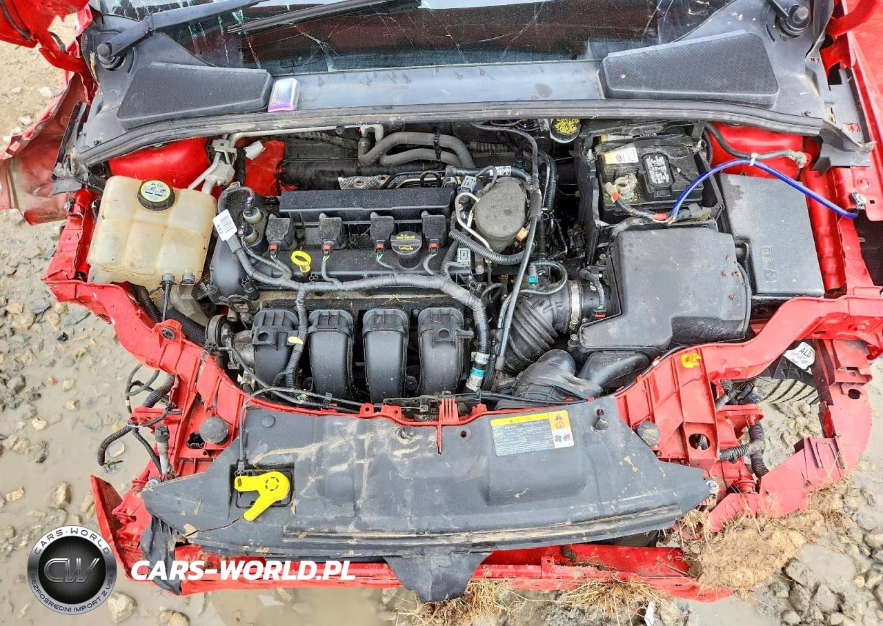 2013 Ford Focus Se VIN:1FADP3K29DL113453 - 11