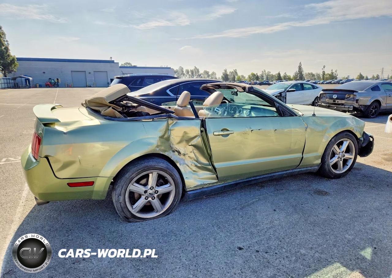 2005 Ford Mustang VIN:1ZVFT84N555244580 - 3