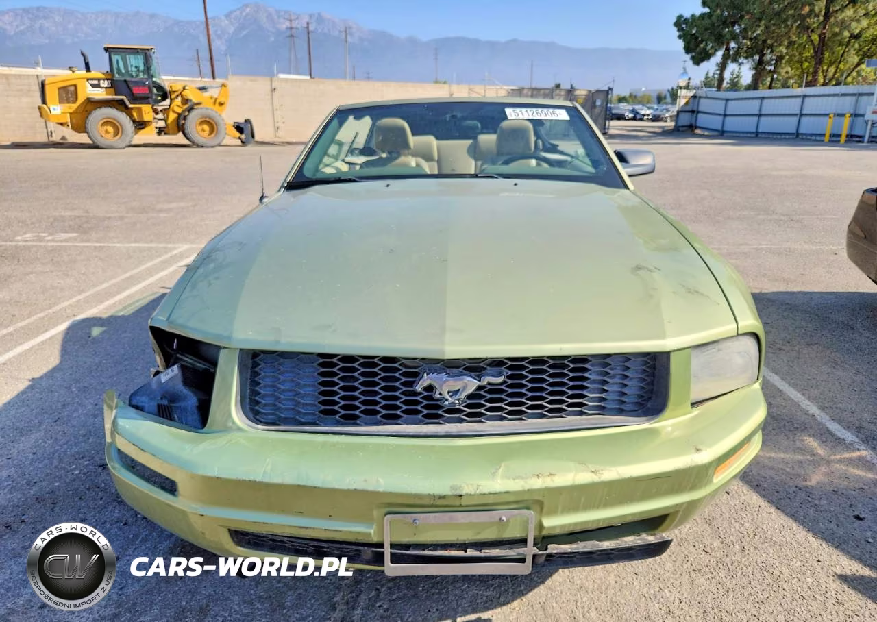 2005 Ford Mustang VIN:1ZVFT84N555244580 - 5