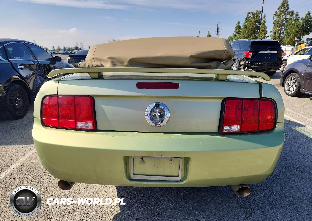 2005 Ford Mustang VIN:1ZVFT84N555244580 - 6