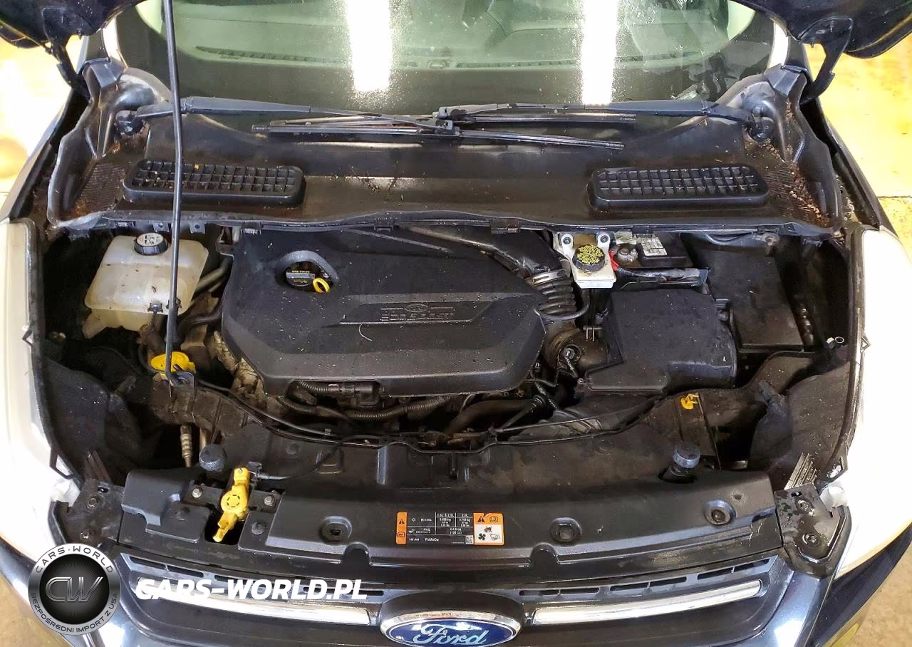 2014 Ford Escape Se VIN:1FMCU0GX7EUD78347 - 12