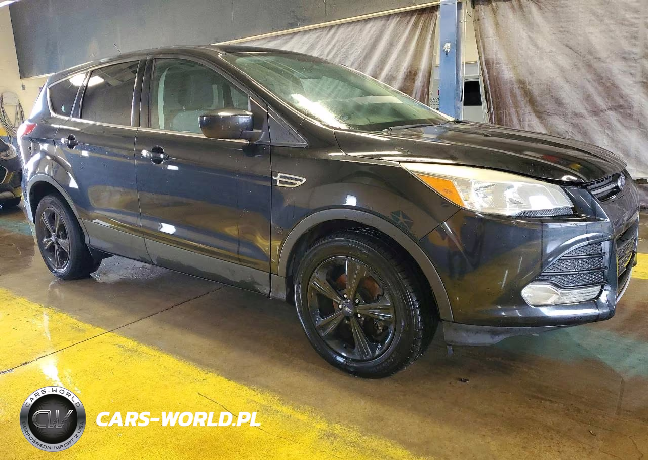 2014 Ford Escape Se VIN:1FMCU0GX7EUD78347 - 4