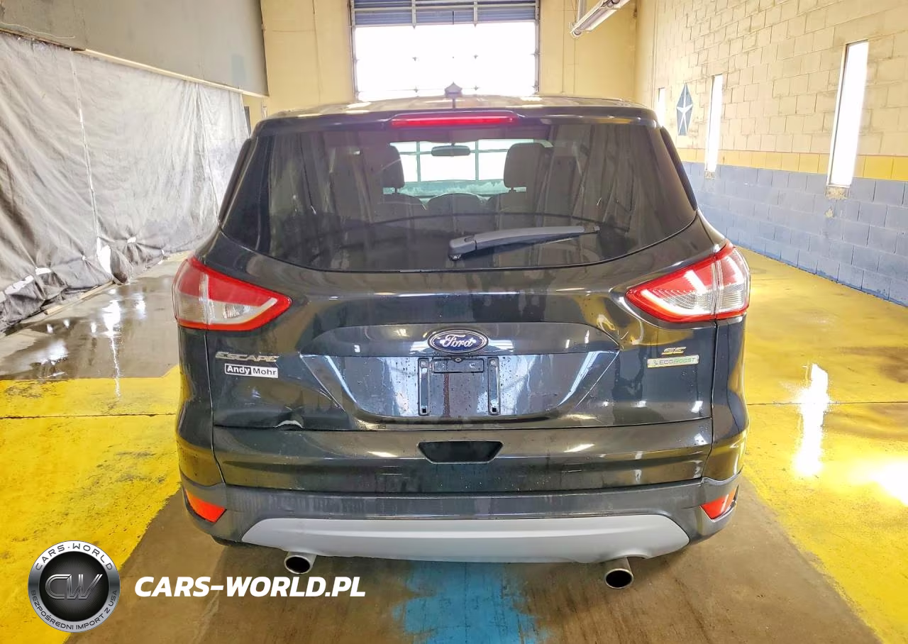 2014 Ford Escape Se VIN:1FMCU0GX7EUD78347 - 6