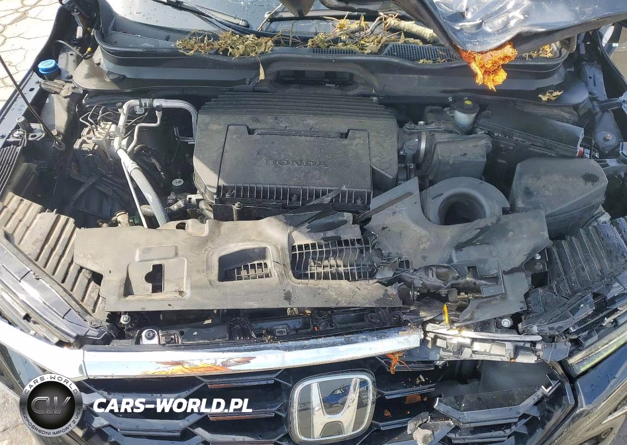 2023 Honda Pilot Touring VIN:5FNYG1H7XPB032665 - 12