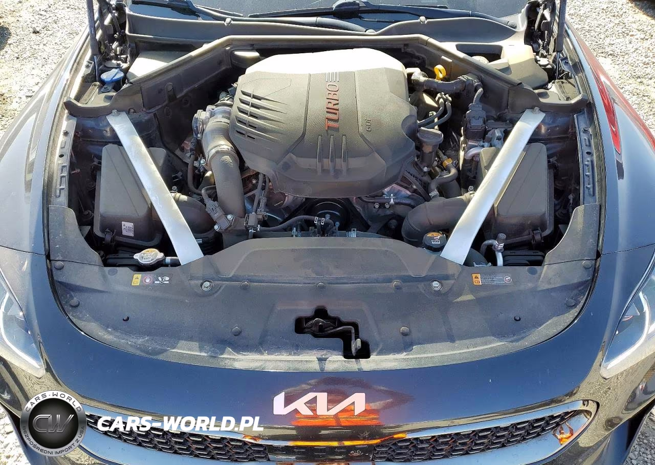 2022 Kia Stinger Gt2 VIN:KNAE55LC9N6105146 - 11