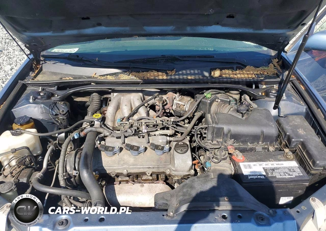 2002 Toyota Camry Se V6 VIN:4T1BF32K62U534490 - 11