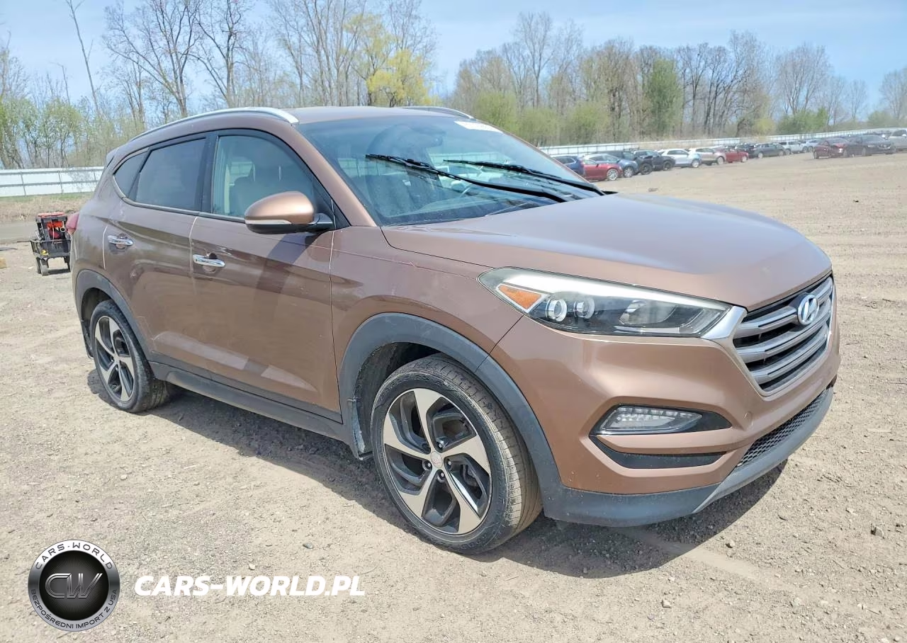 2016 Hyundai Tucson Limited VIN:KM8J33A25GU048637 - 4