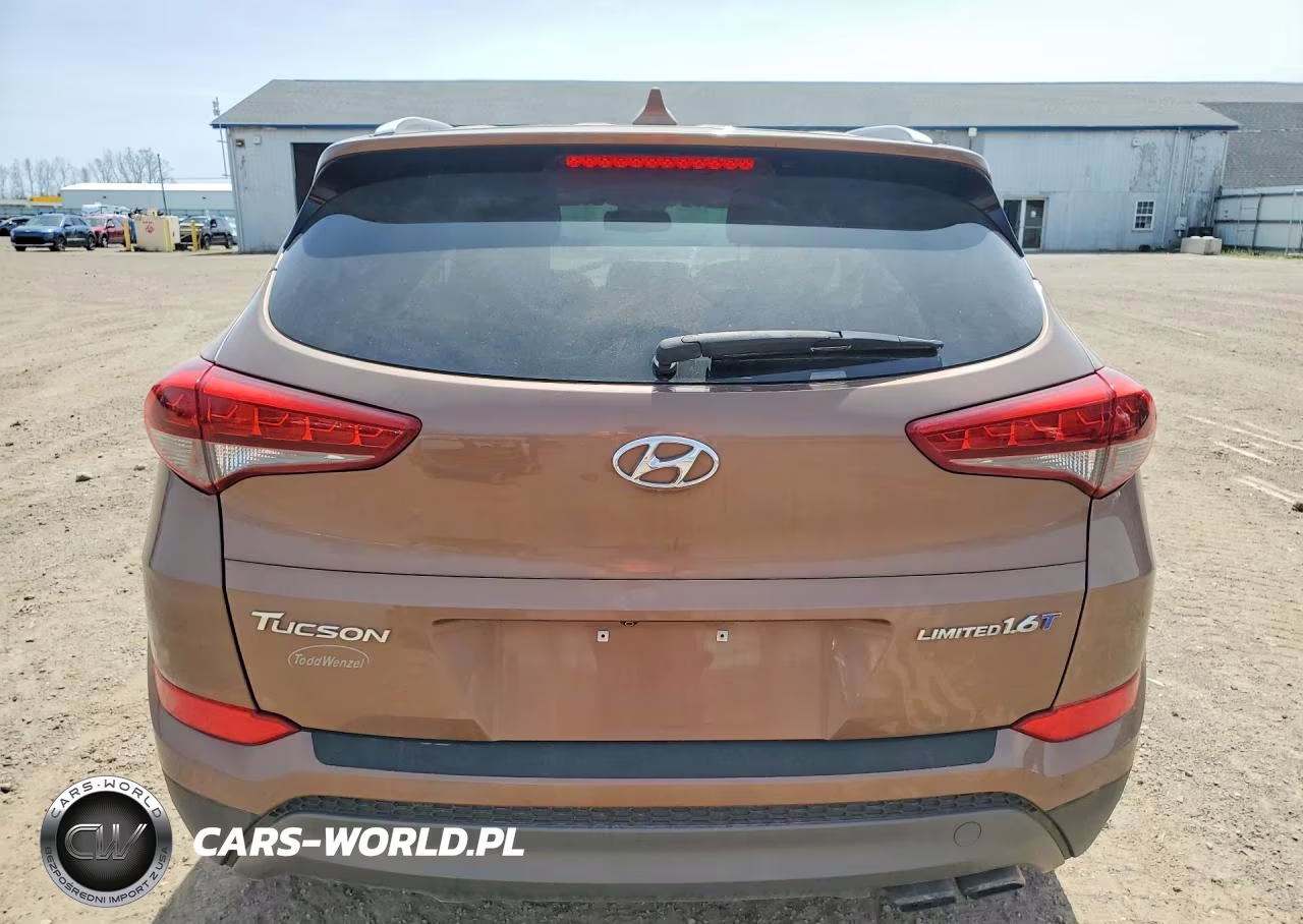 2016 Hyundai Tucson Limited VIN:KM8J33A25GU048637 - 6