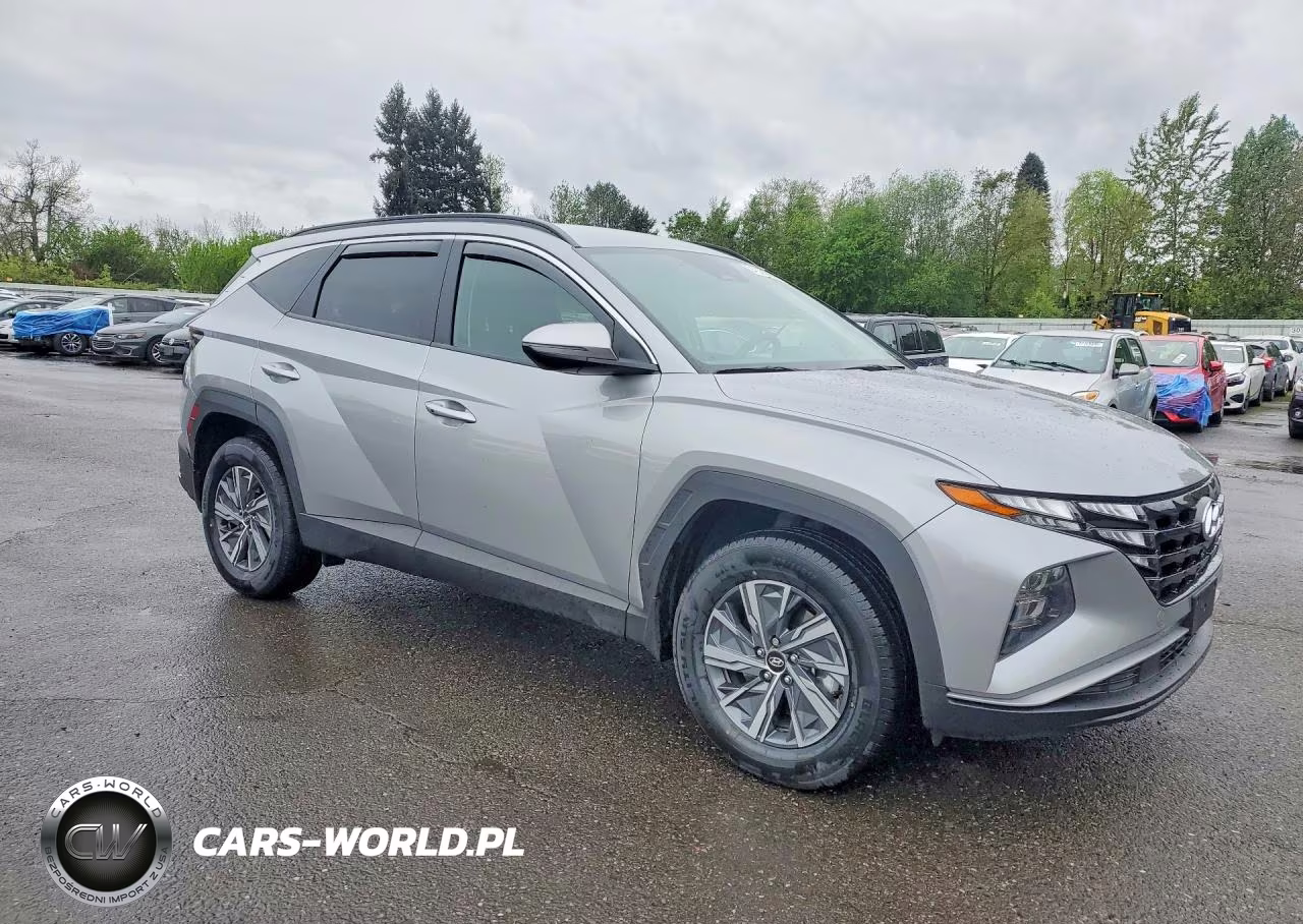 2022 Hyundai Tucson Blue VIN:KM8JBCA1XNU029069 - 4