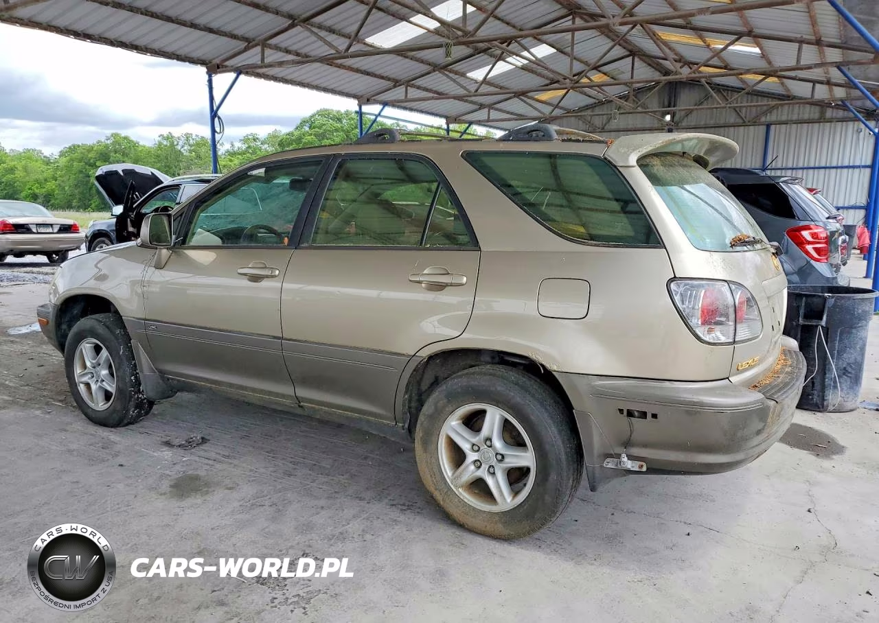 2002 Lexs Rx 300 VIN:JTJHF10U620251602 - 2